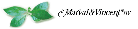 Marval & Vincent logo